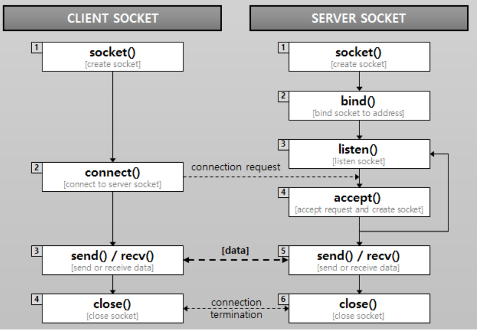 socket